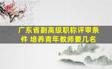 广东省副高级职称评审条件 培养青年教师要几名